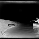Illustration for article titled 10 Amazing Photos From the Museum of Natural Historys Online Archive